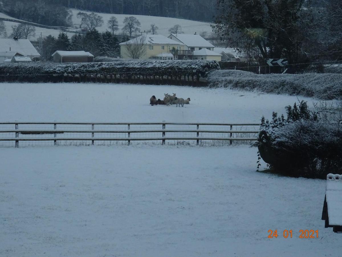 Red Kite Barn Villa Ammanford Exteriör bild